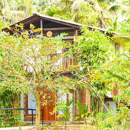 Mangrove - Family Room with Lake View